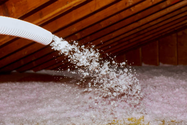 Best Insulation Materials and Products in Loxley, AL